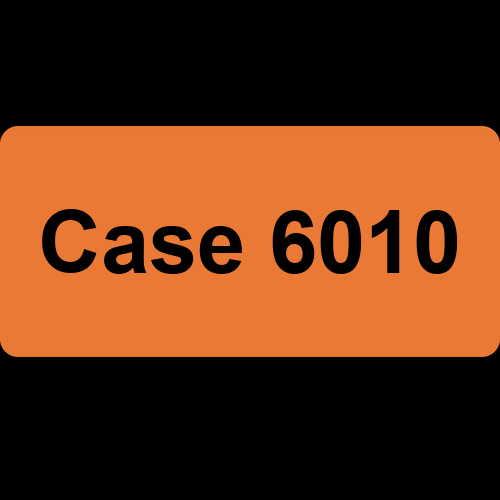 Case 6010